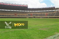 صور ملعب مانديلا المستضيف لقاء أوغندا ومصر الخميس المقبل