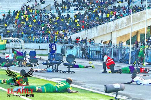 النحل يهاجم مباراة في مباراة بكأس تنزانيا ويتسبب في سقوط اللاعبين والجماهير أرضًا في مشهد مضحك